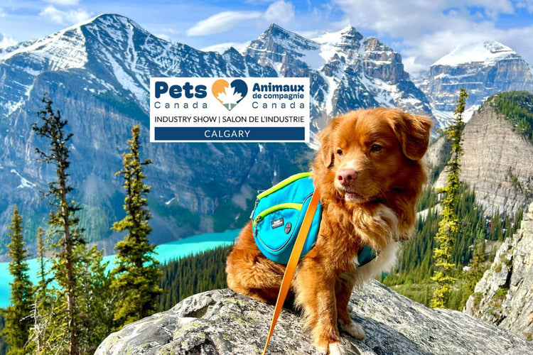 Pets Canada Wholesale Sign Up