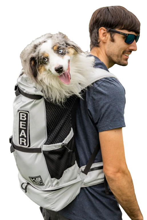 Carry your dog in a backpack hotsell