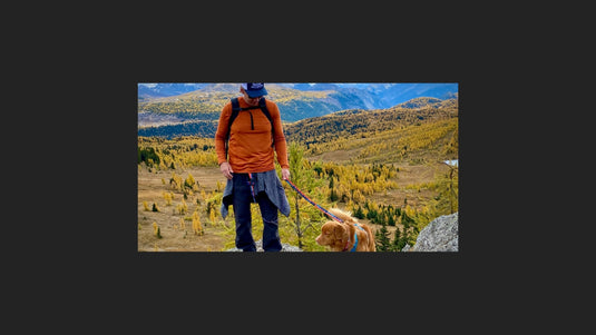 Top Tips for Fall Hiking with Your Dog