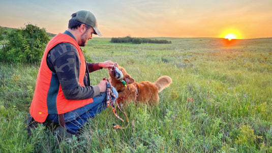 The Ranger Dog Leash & Collar Collection: Unbreakable Bond