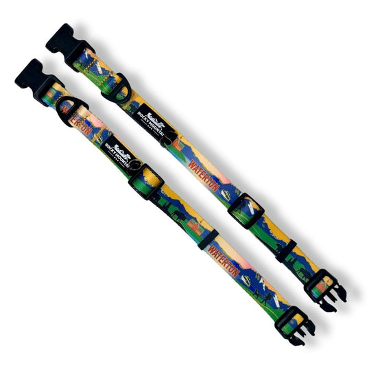 Waterton Alpine Dog Collar