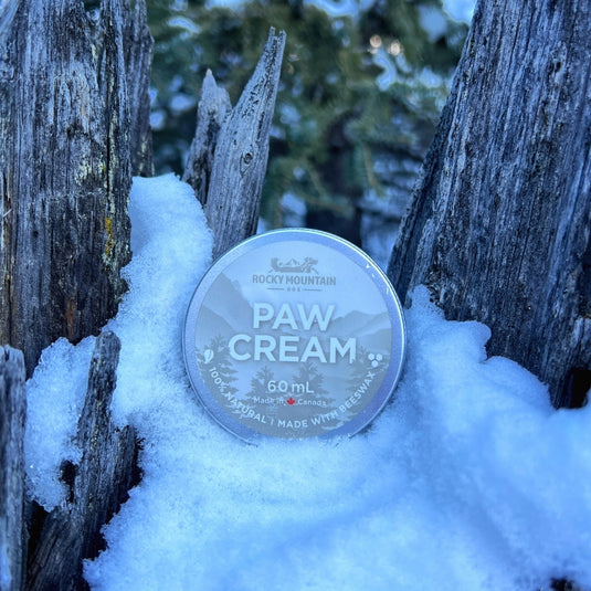 Five Reasons Why Paw Cream Is Essential