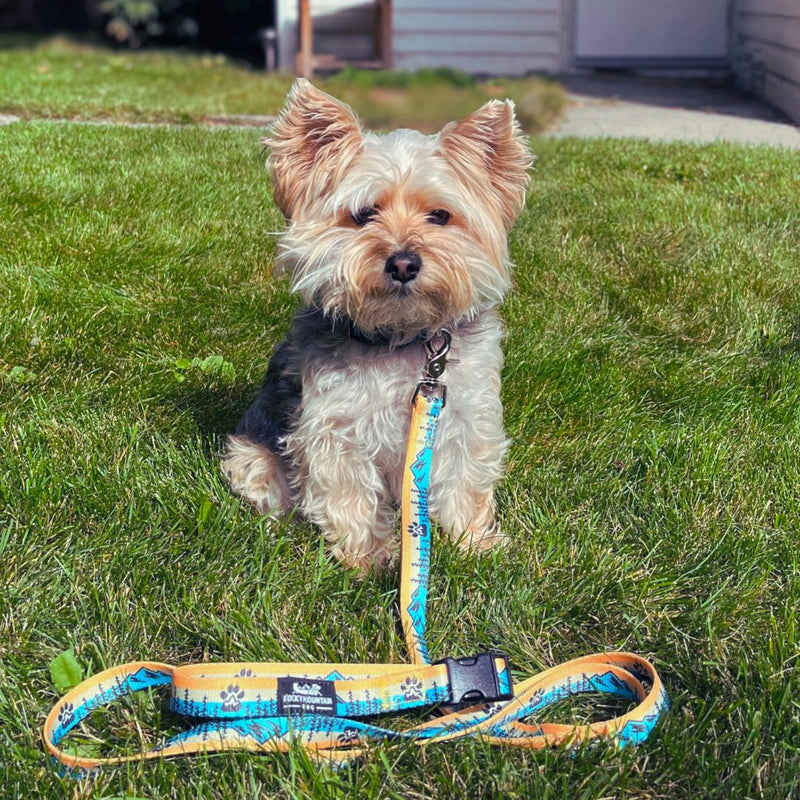 Load image into Gallery viewer, Paw Mountain Dog Leash
