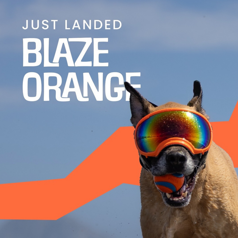 Load image into Gallery viewer, V2 Large Dog Goggles - Rocky Mountain Dog
