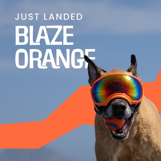 V2 Large Dog Goggles - Rocky Mountain Dog