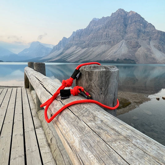 Fernie Carabiner Dog Rope Leash