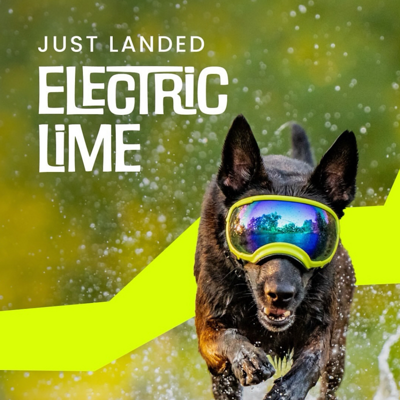 Load image into Gallery viewer, V2 Large Dog Goggles - Rocky Mountain Dog
