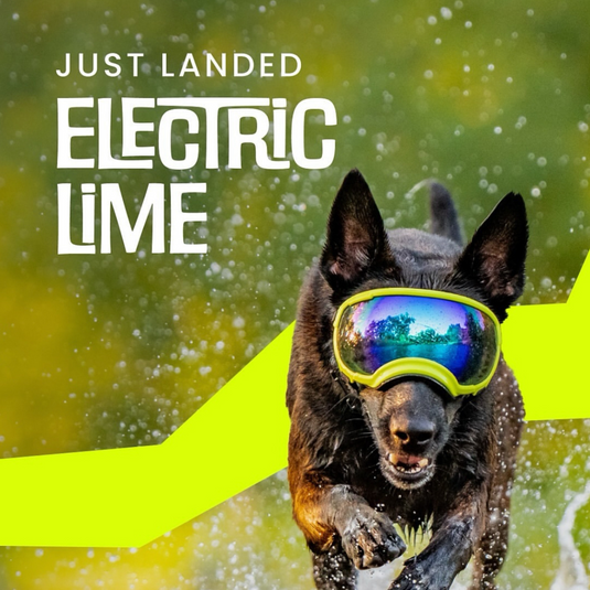 V2 Large Dog Goggles - Rocky Mountain Dog