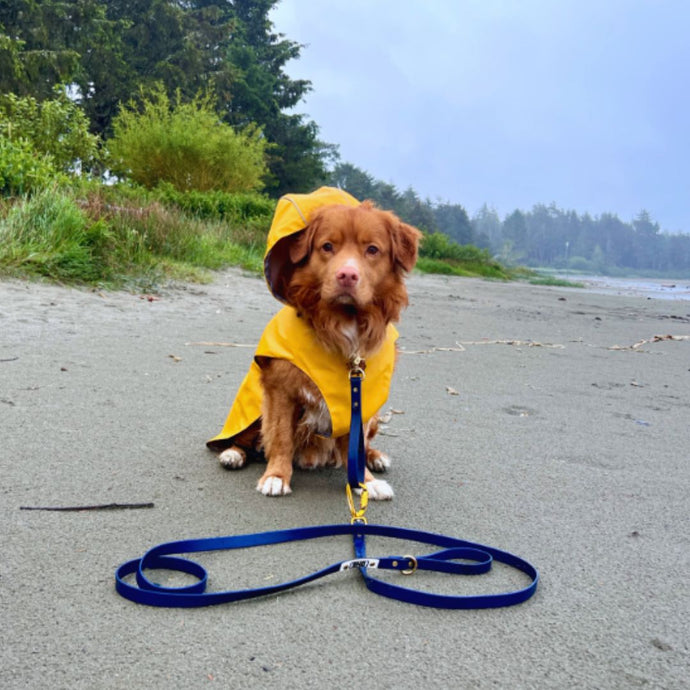 Tofino Rain Jacket