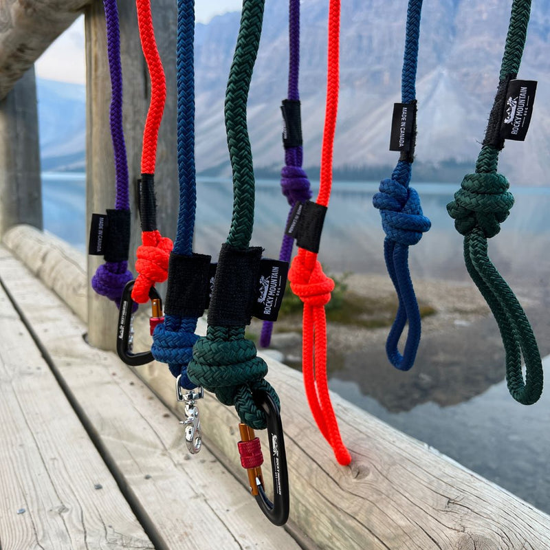 Load image into Gallery viewer, Fernie Carabiner Dog Rope Leash
