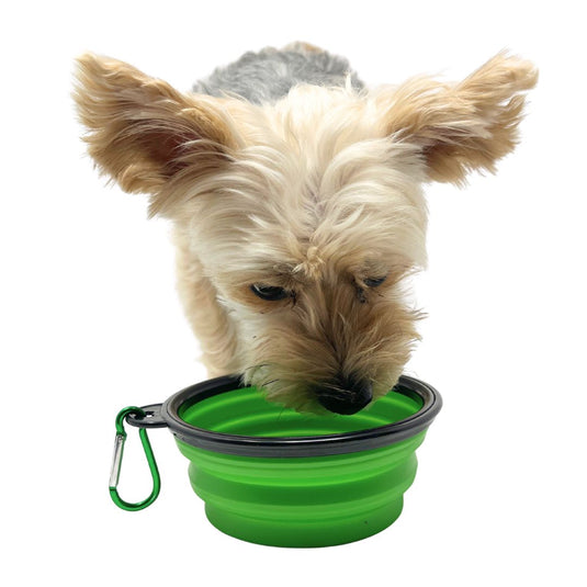 Collapsible Silicone Dog Bowl - Rocky Mountain Dog