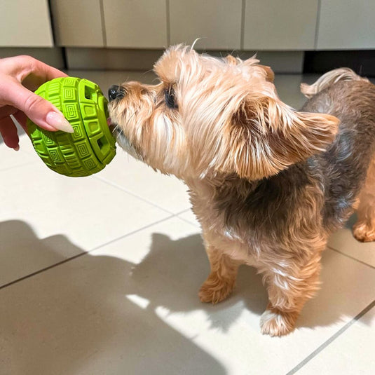 The Sphere Interactive Frozen Treat Toy