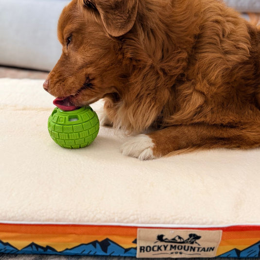The Sphere Interactive Frozen Treat Toy