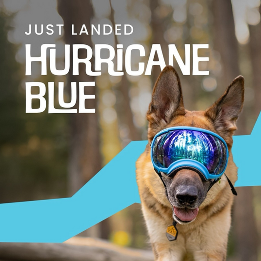 V2 Large Dog Goggles - Rocky Mountain Dog