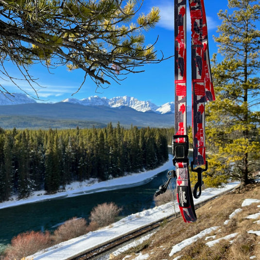 Red dog leash hanging from a tree near a river in castle lookout trailhead, castle, ab