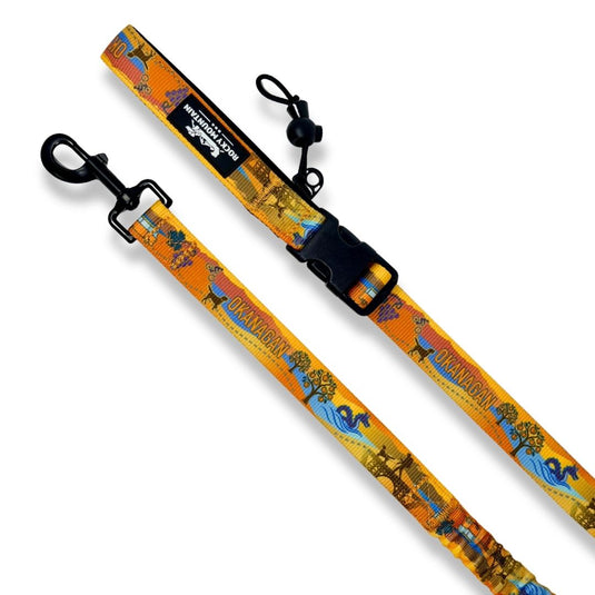 Okanagan All Mountain Dog Leash