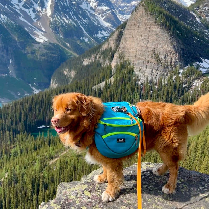 Load image into Gallery viewer, Mountaineer Dog Backpack &amp; Stand-Alone Harness
