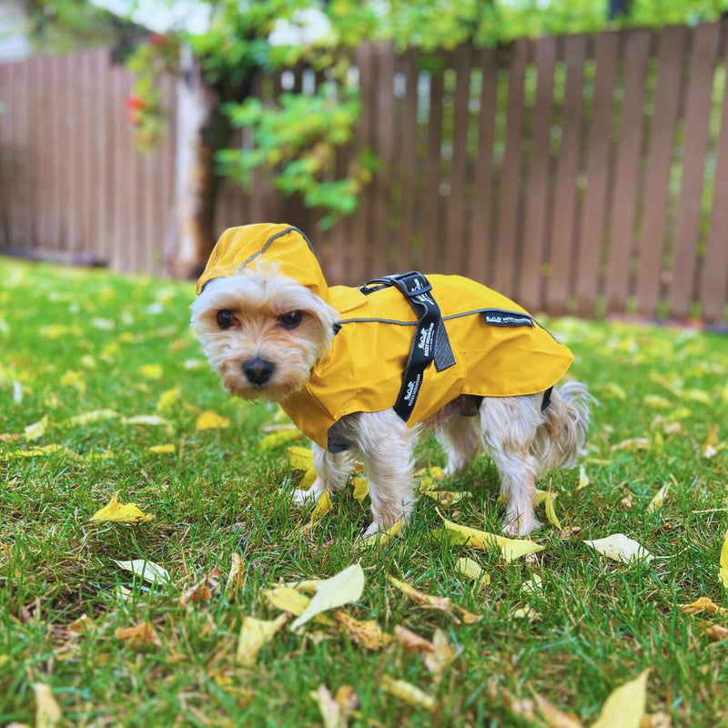 Load image into Gallery viewer, Tofino Rain Jacket
