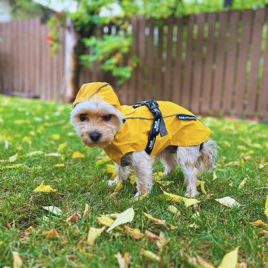 Tofino Rain Jacket