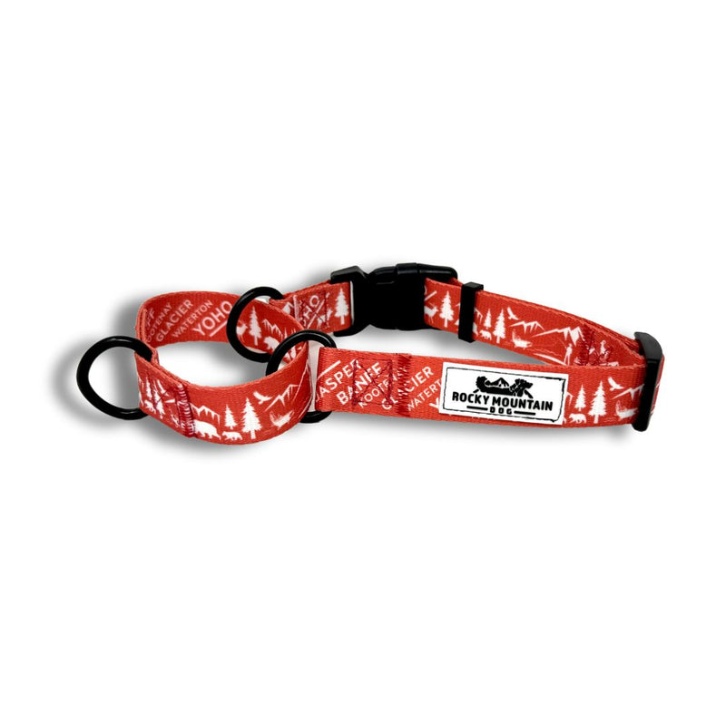 Load image into Gallery viewer, Canadian Rockies Martingale Clip Collar
