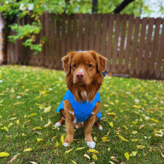 Tofino Rain Jacket