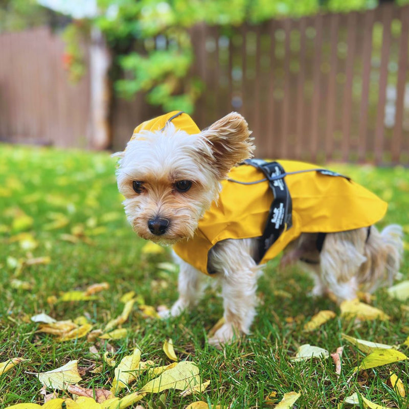 Load image into Gallery viewer, Tofino Rain Jacket
