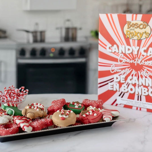 Premium Musical Advent Calendar - 24 Days of Treats