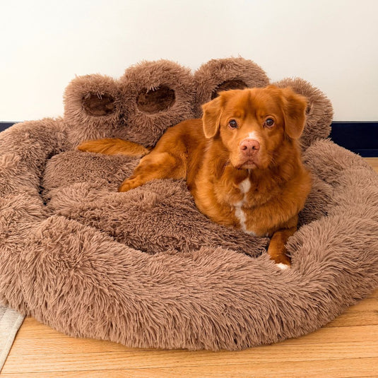 Bigfoot Dog Bed
