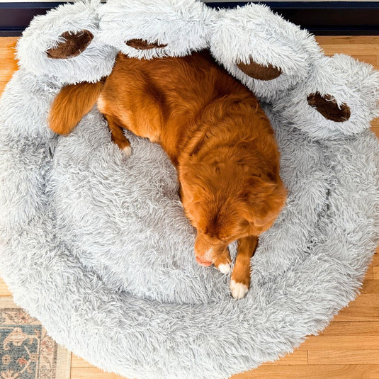 Bigfoot Dog Bed