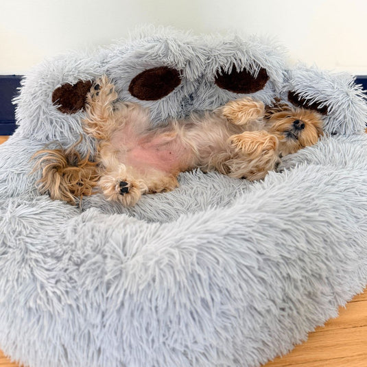 Bigfoot Dog Bed