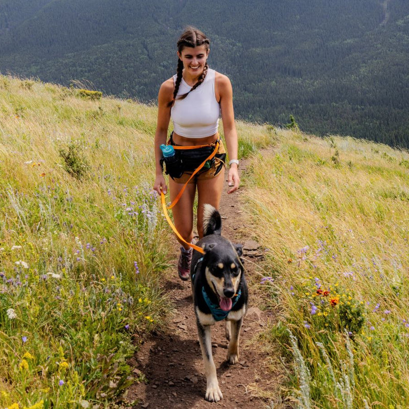 Load image into Gallery viewer, RMD Hands-Free Biothane Waterproof Leashes - Clasp
