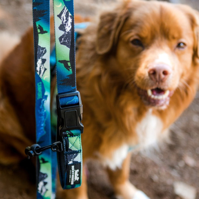 Load image into Gallery viewer, V2 Canmore All Mountain Dog Leash - Rocky Mountain Dog
