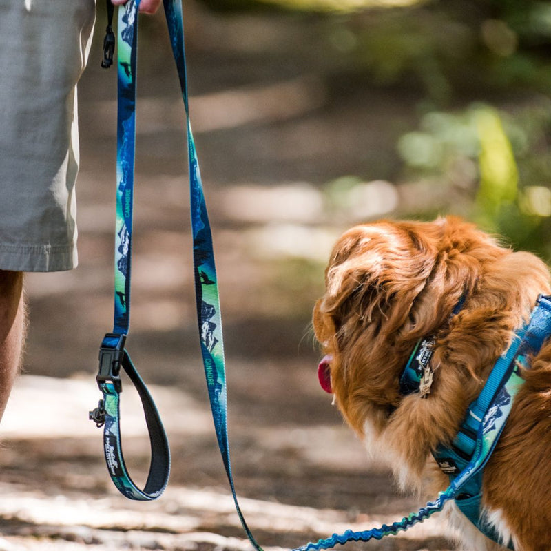 Load image into Gallery viewer, V2 Canmore All Mountain Dog Leash - Rocky Mountain Dog
