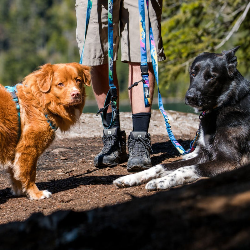 Load image into Gallery viewer, V2 Canmore All Mountain Dog Leash - Rocky Mountain Dog

