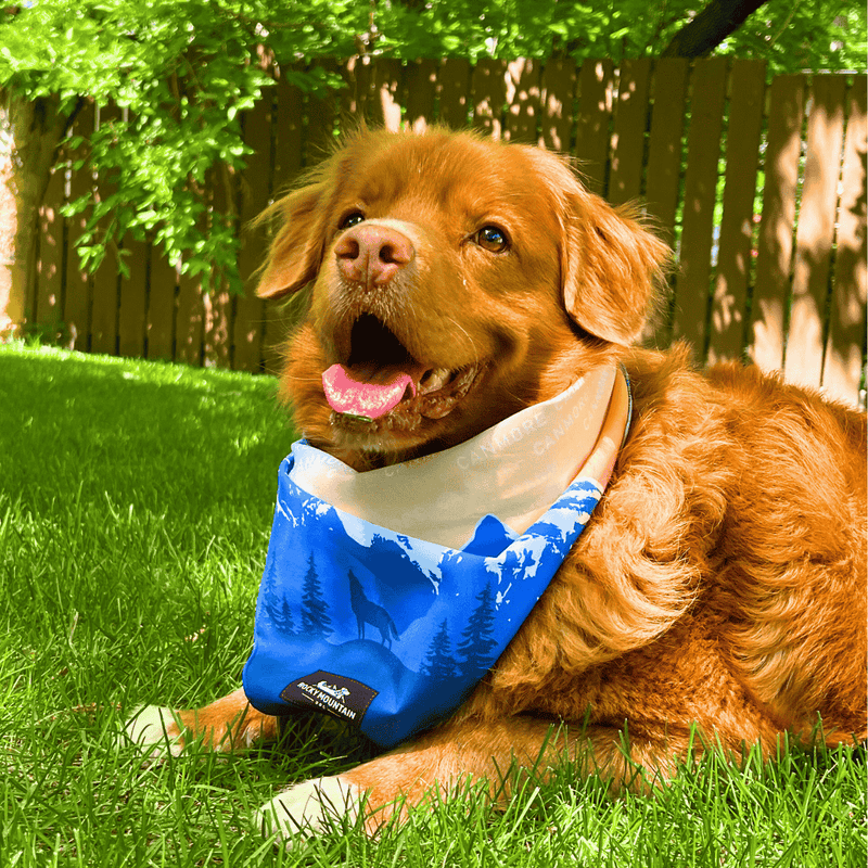 Load image into Gallery viewer, Canmore Three Sisters Bandana - Rocky Mountain Dog
