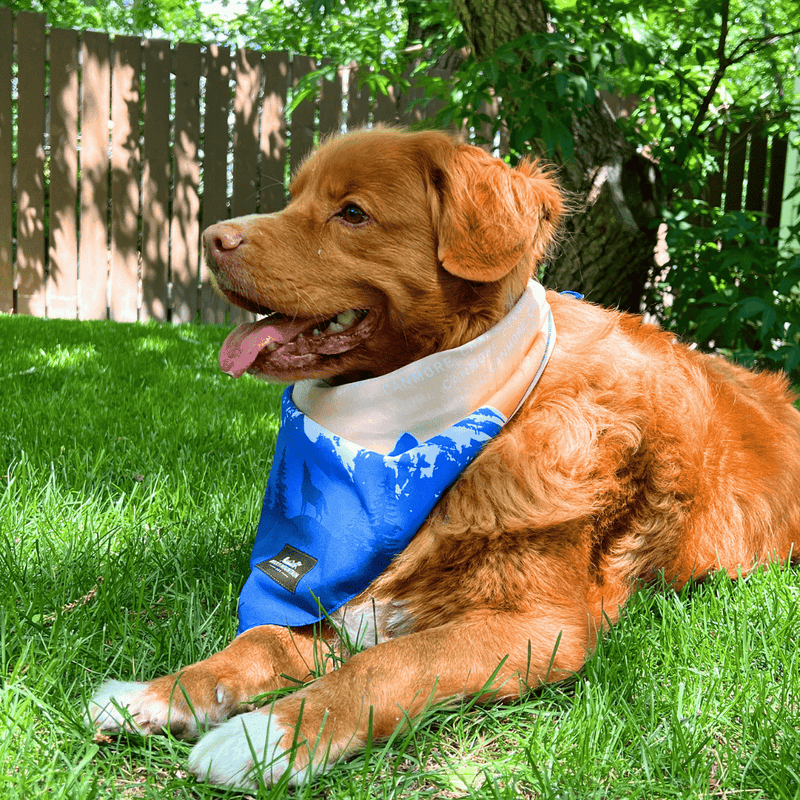 Load image into Gallery viewer, Canmore Three Sisters Bandana - Rocky Mountain Dog
