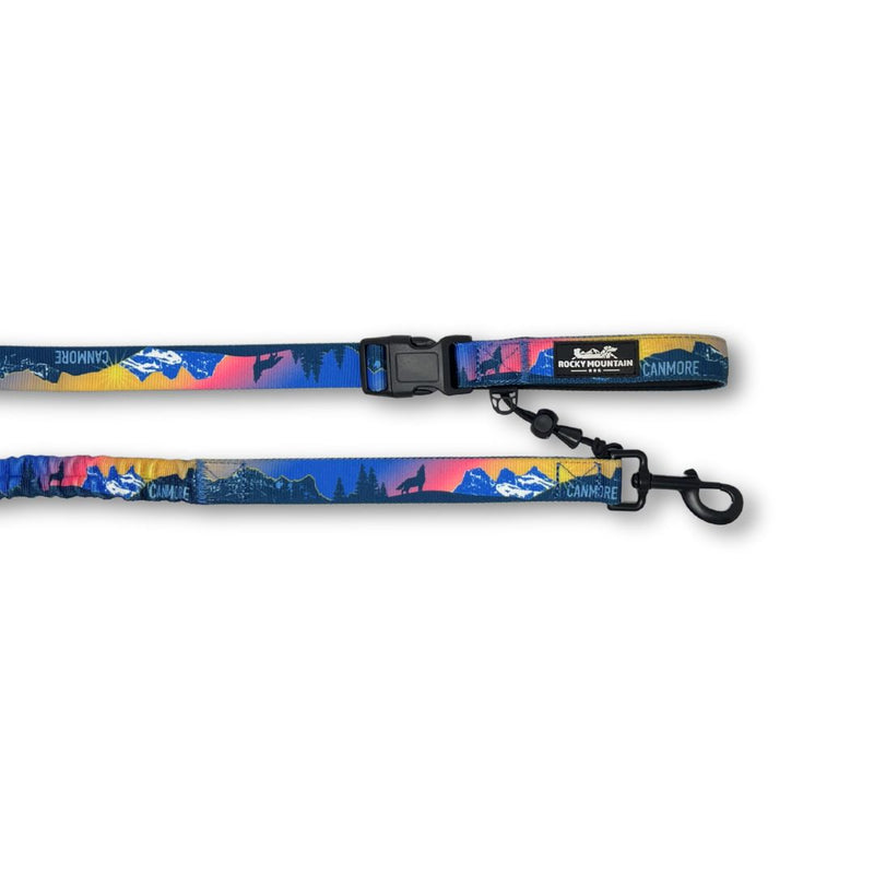 Load image into Gallery viewer, V2 Canmore All Mountain Dog Leash - Rocky Mountain Dog
