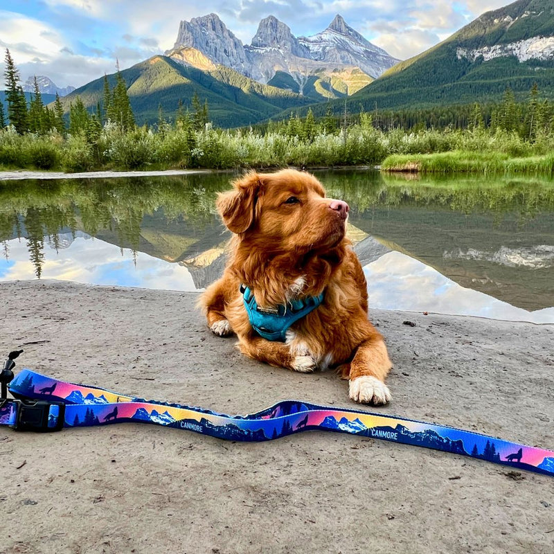 Load image into Gallery viewer, V2 Canmore All Mountain Dog Leash - Rocky Mountain Dog
