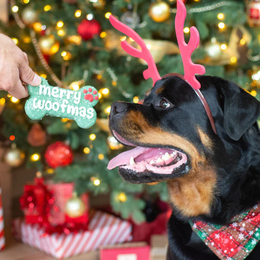 Merry Woofmas, 6'' Bone - Dog Cookie