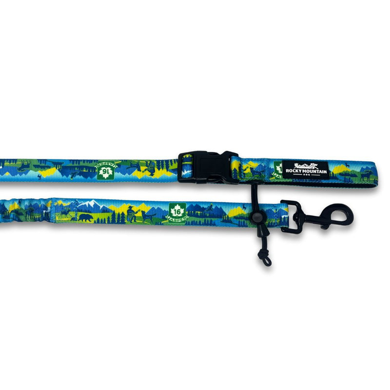Load image into Gallery viewer, Jasper All Mountain Leash - Rocky Mountain Dog
