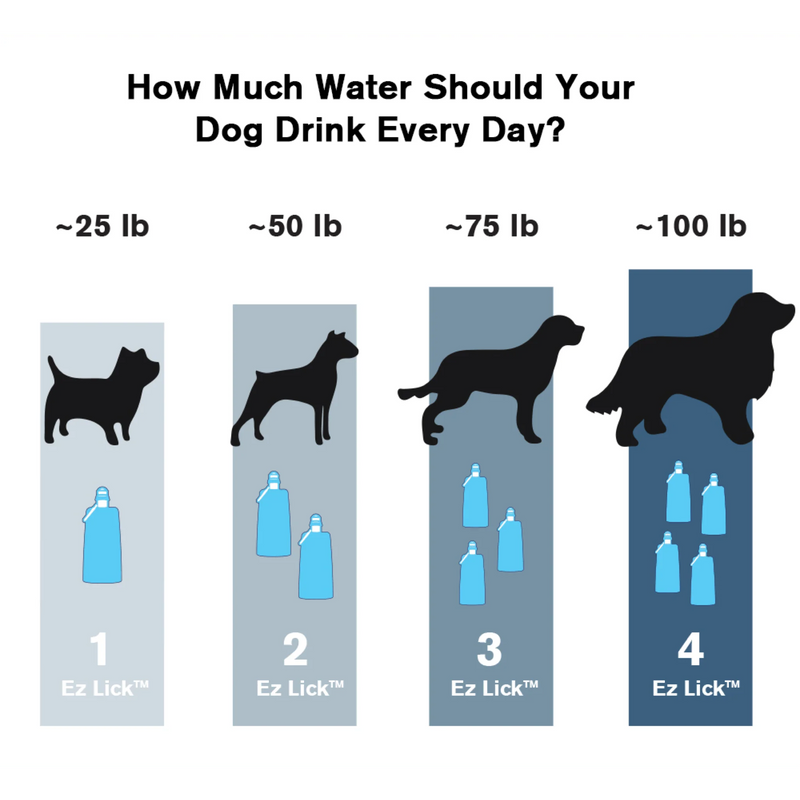 Load image into Gallery viewer, Vapur Ez Lick Portable Dog Water Bottle
