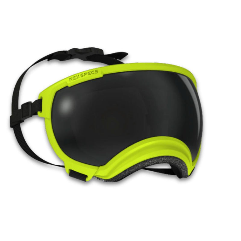 Load image into Gallery viewer, V2 Extra Large Dog Goggles - Rocky Mountain Dog
