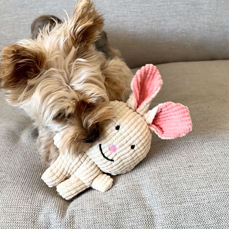Load image into Gallery viewer, Favourite Bunny Plush Dog Toy
