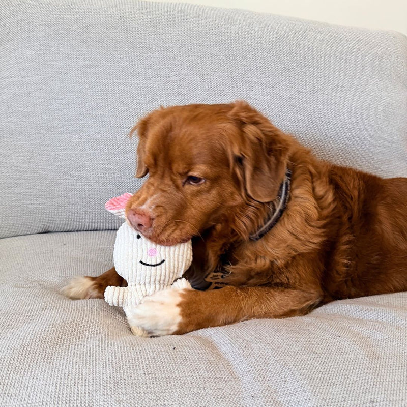 Load image into Gallery viewer, Favourite Bunny Plush Dog Toy
