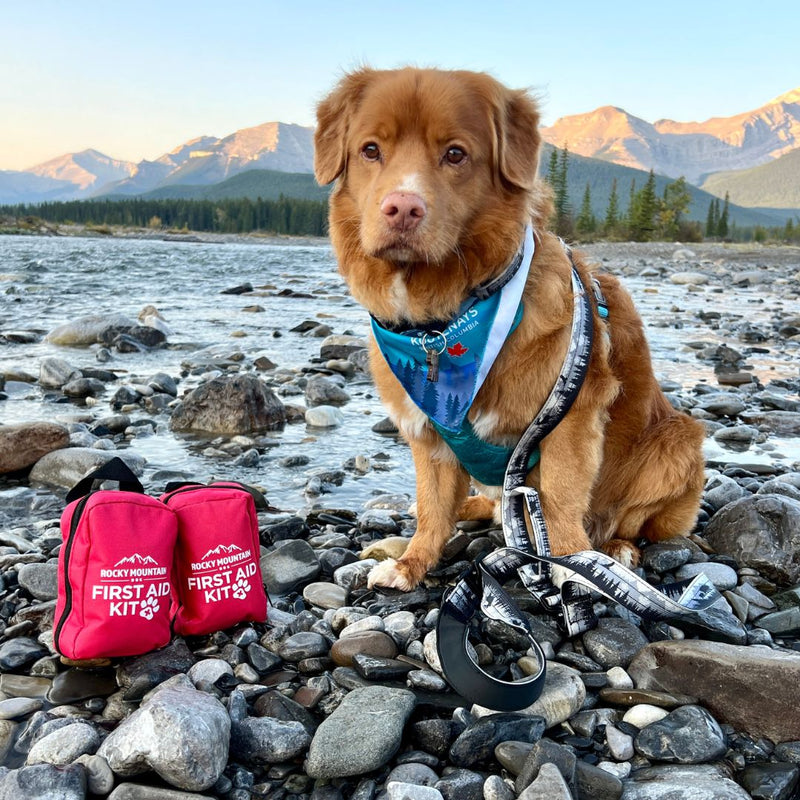 Load image into Gallery viewer, Dog First Aid Kit - Rocky Mountain Dog
