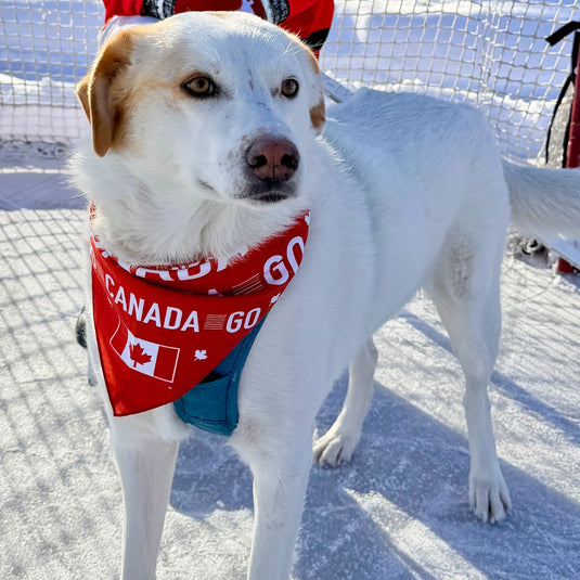 Go Canada Go Dog Bandana