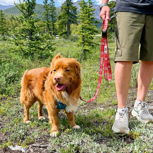 Go Canada Go Dog Leash