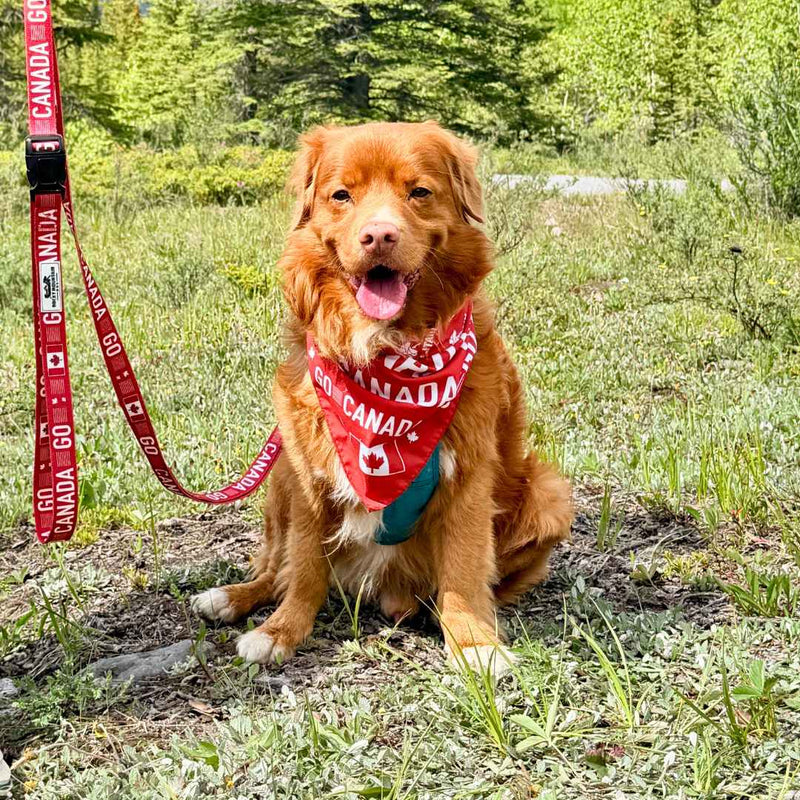Load image into Gallery viewer, Go Canada Go Dog Bandana
