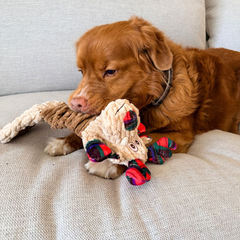 Load image into Gallery viewer, Goofy Moose Stretchy Dog Toy
