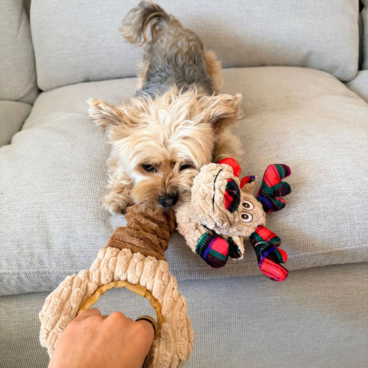 Goofy Moose Stretchy Dog Toy